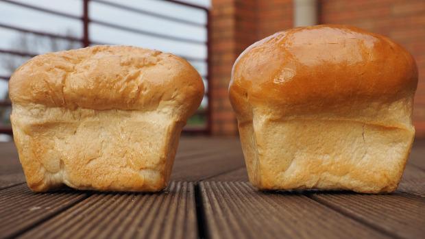 Earthjustice's tweet photo. This is what #climatechange will do to your bread.
R: 2015 - L: 2050 conditions>> http://t.co/puK69ylP8c http://t.co/YanhVXbwTy