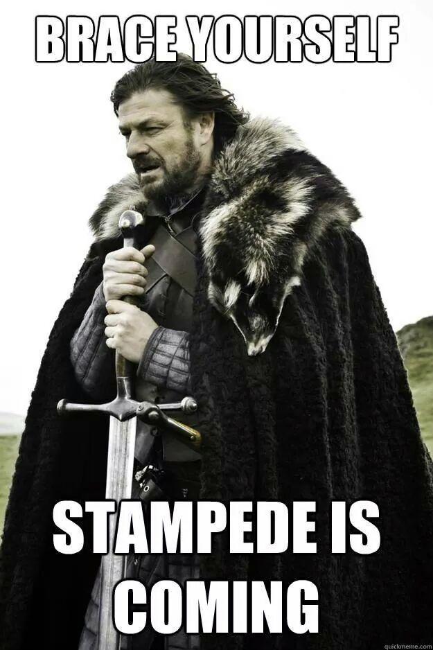 WLRFCRustlers's tweet photo. Party starts tomorrow night are you ready? #WLRFC #stampede http://t.co/fK5dkmmDxA