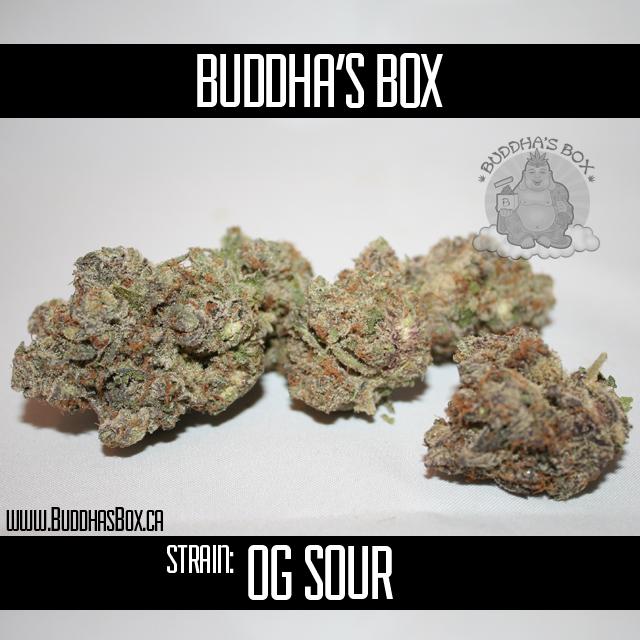 BuddhasBox tweet picture
