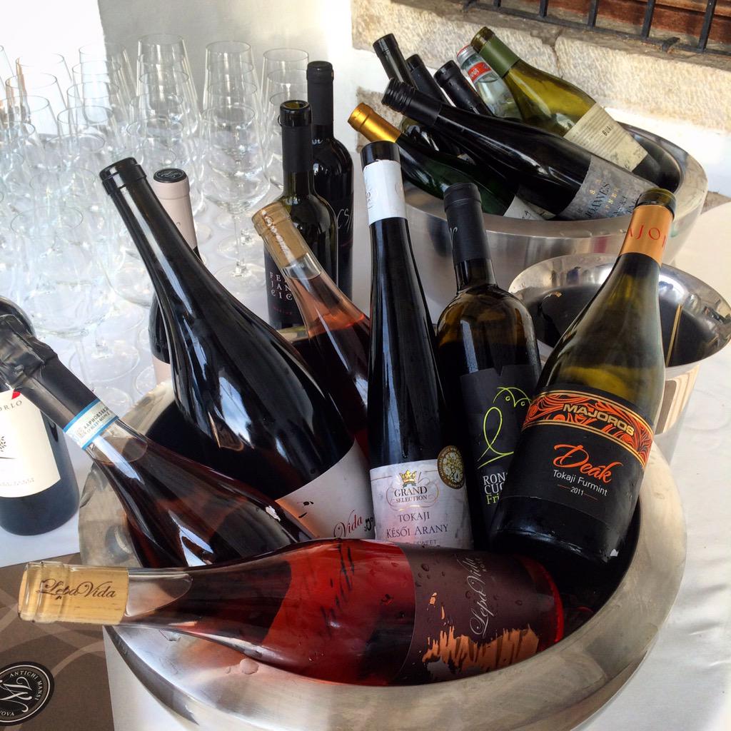 RitaTakaro's tweet photo. #winelover hangout in #Slovenia. Perfect day in a perfect place with lovely people! @winelover_bot Miss u @TheWineHub http://t.co/TtcLM7EkSB