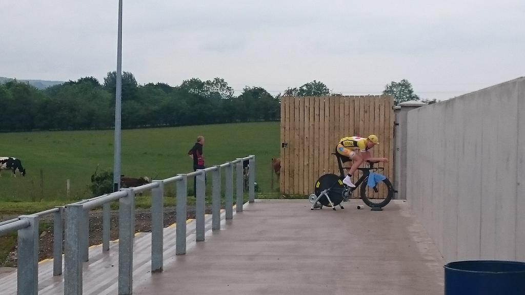 David_mc_cann's tweet photo. @connormcconvey warms up for @irishchamps15 Time Trial while @McConveyCycles watches cows... http://t.co/DBwmoeQGDA