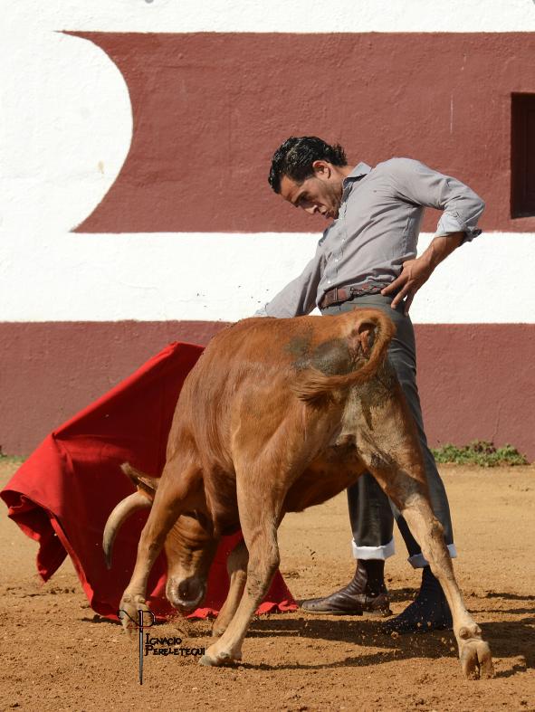 ignapereletegui's tweet photo. Esta tarde en #Montalvo @VictorSoria @ivanfandino @prensa_ifandino #tentadero http://t.co/Jer4C1oMdw