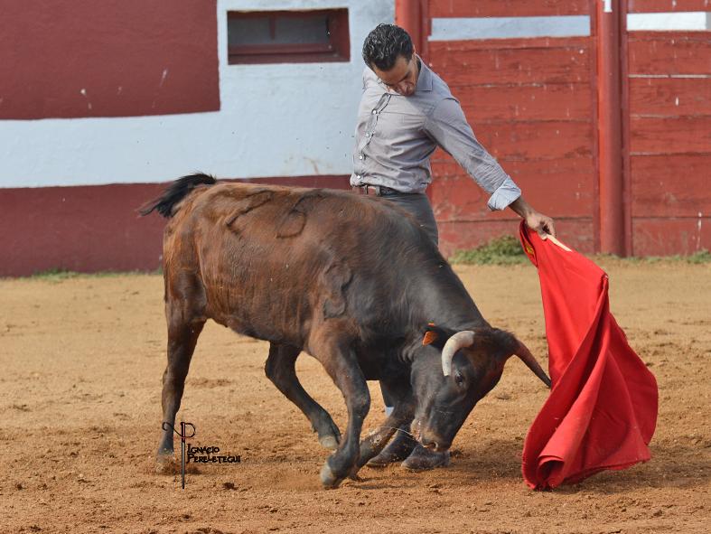ignapereletegui's tweet photo. Esta tarde en #Montalvo @VictorSoria @ivanfandino @prensa_ifandino #tentadero http://t.co/Jer4C1oMdw