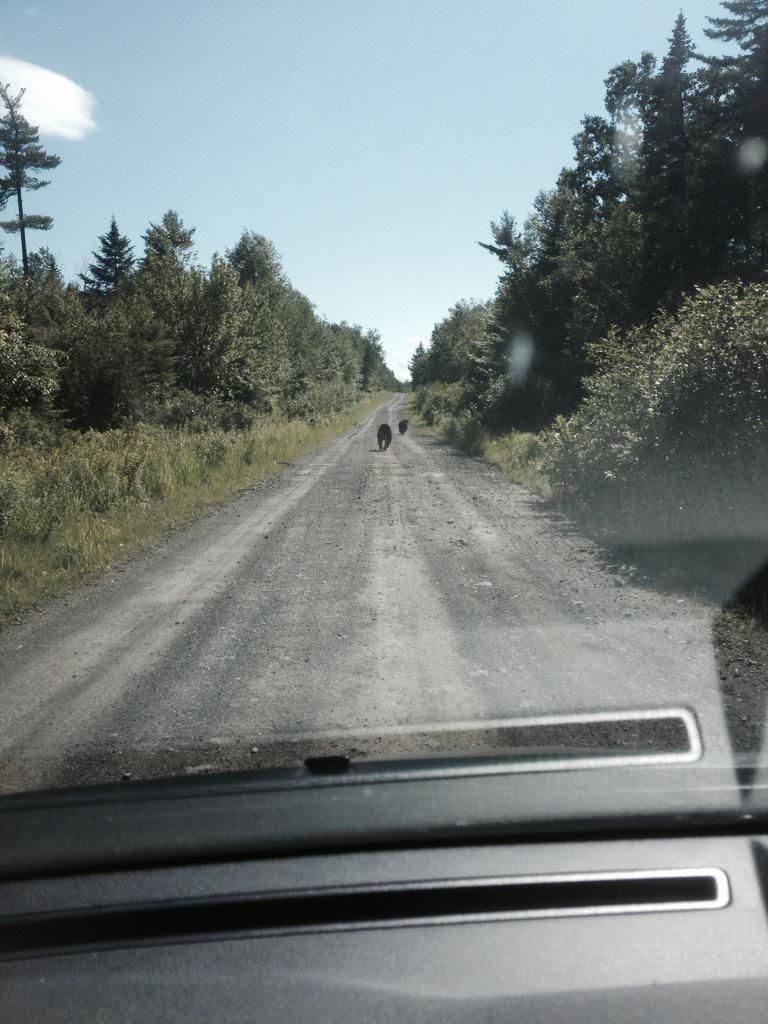 stuartwight's tweet image. Well that was an interesting trip to nationals.Who new google maps includes goats paths and borders have business hrs