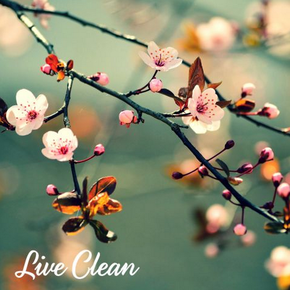 LiveCleanCan's tweet photo. #ProNatural - that's us. http://t.co/XU0eqPCUmU