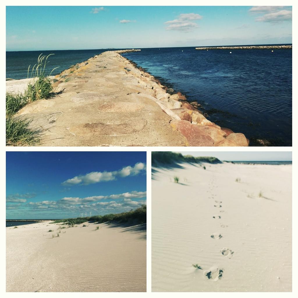 ShrubOnWheels's tweet photo. Spending the next few days exploring Danish beaches. Life is so hard sometimes. :D @mec #mecstaffer #lifeonabike http://t.co/2J6qa4maMp
