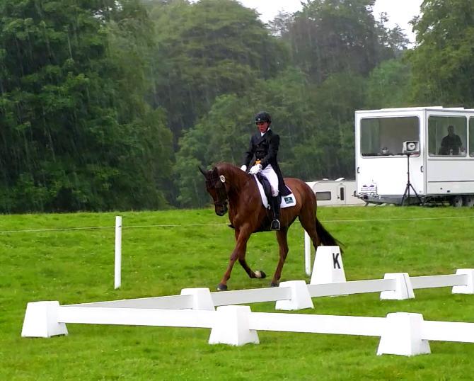 Dessi did a brilliant test today at <a href="/HopetounTrials/">Hopetoun HorseTrials</a>. Currently lying in 5th position in the CCI* with a 44.00.