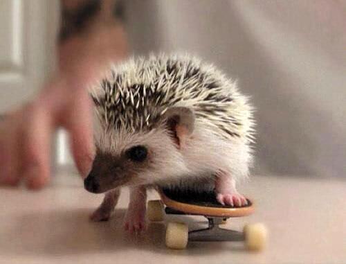 They see me Rollin...🎶 🎼 😂 😋 🚘