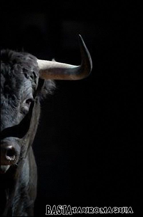 Perfidodildo's tweet photo. "@BASTAtauromakia: #DìaMundialAntitaurino Por qué #SoyAntiTaurino ??? por esto --->>> http://t.co/iF5ABKpRLK"
#TorturaNoEsCultura