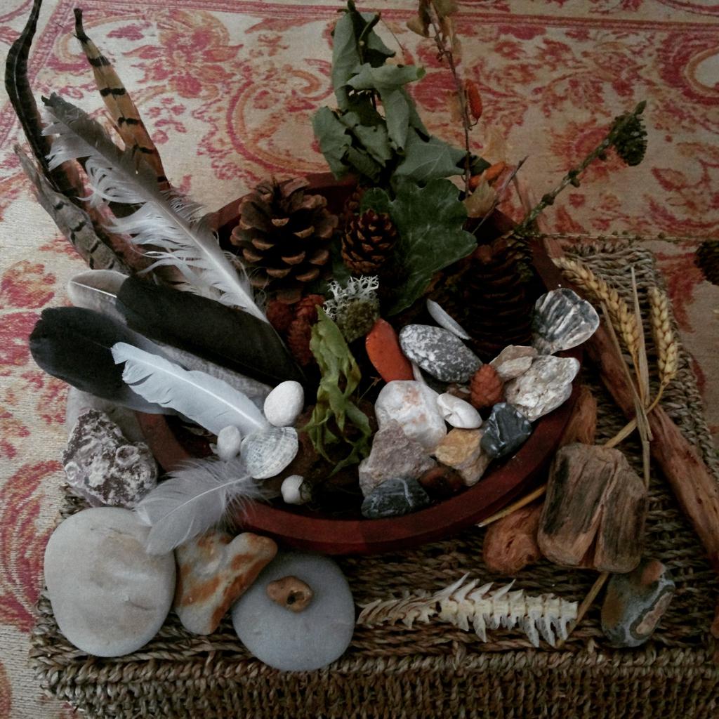 moonmothermn's tweet photo. #30dayswild Day 25 Collection of 'finds' whilst out and about during 30 days wild. http://t.co/MKdLS8bfzB