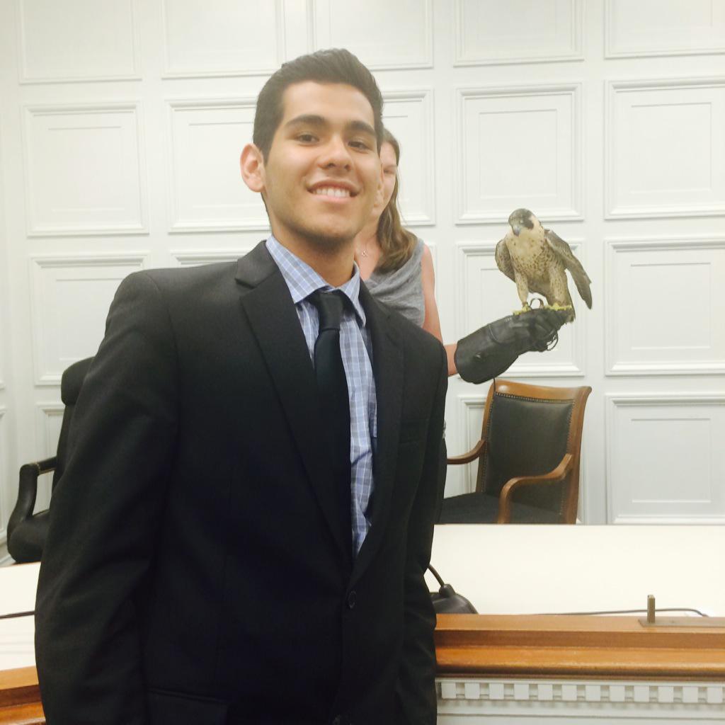 jdavid_olvera's tweet photo. Meanwhile on Capitol Hill.... I met a falcon #thanksESA http://t.co/YNYkoAjfZB