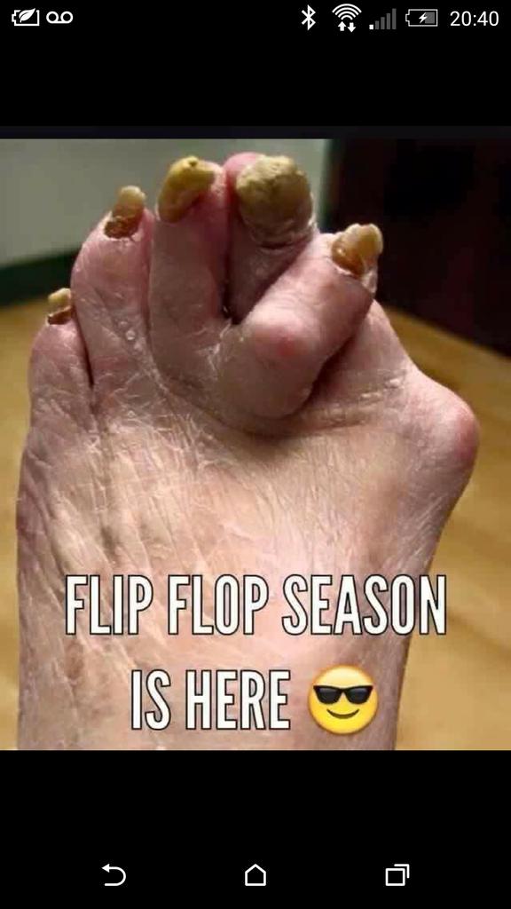 lee daly MBE,OBE tweet media