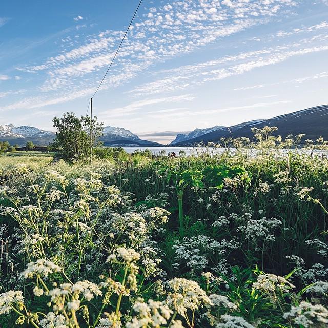 Throwback to the midnight sun in Tromsø ✨💙🌿💫 ⠀⠀⠀⠀⠀⠀⠀⠀⠀⠀⠀⠀⠀⠀⠀⠀⠀⠀⠀⠀⠀⠀⠀⠀⠀⠀⠀⠀⠀⠀⠀⠀⠀⠀⠀⠀#throwback #livefolk #lifeofadvent…
