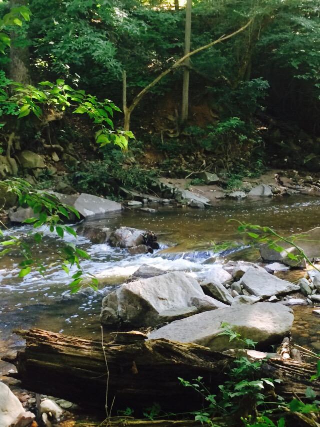 MsCruz01's tweet photo. I wonder how fast the water is flowing? How deep is the water? By how much do the rocks decrease the speed? #edci653 http://t.co/i9ajsMCdOf