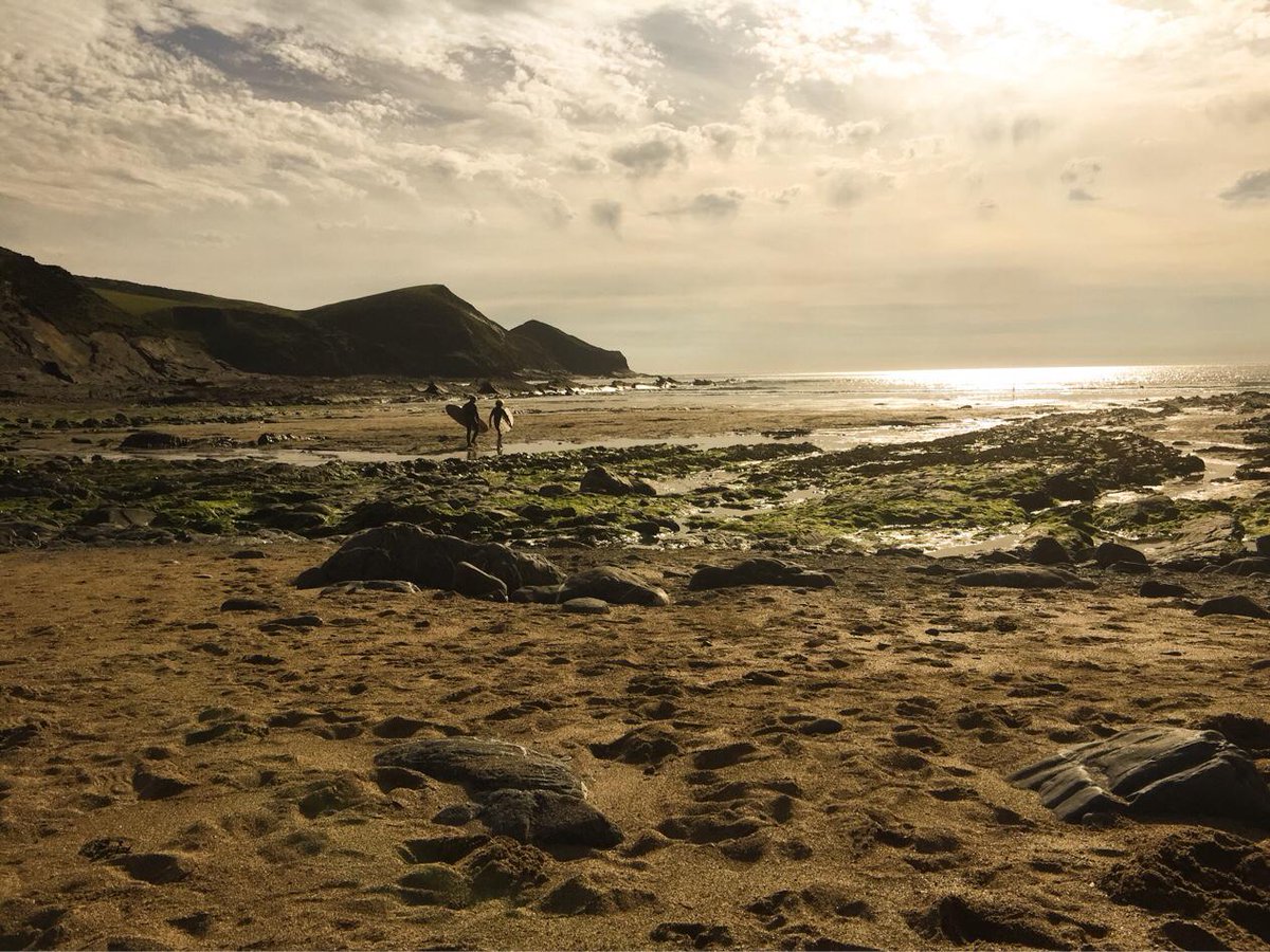 Pencuke Farm tweet media