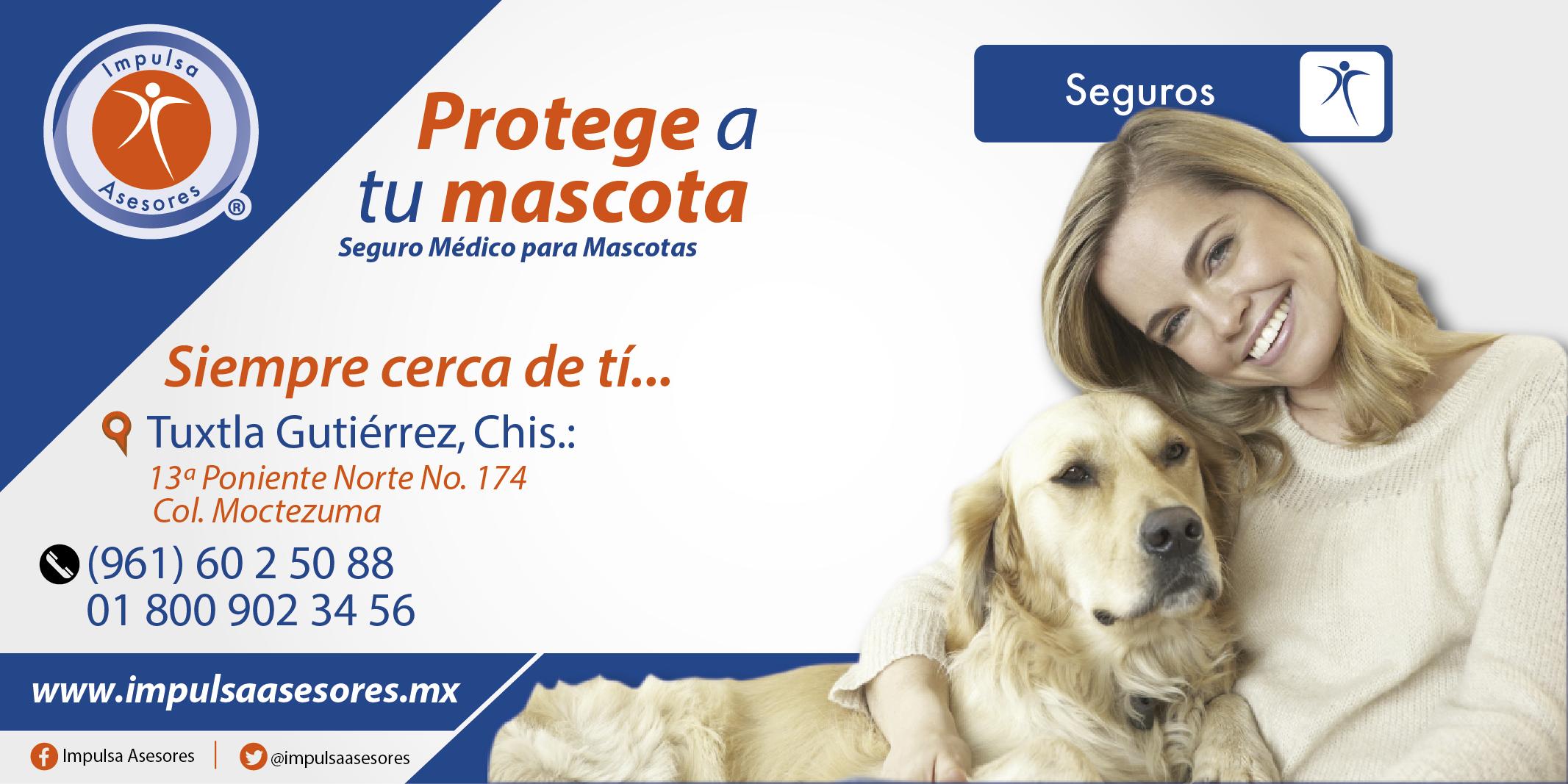 Delicioso Reino elegante Impulsa Asesores on Twitter: "#AFaltaDePalabras ¡Protege tu Mascota! Conoce  el seguro medico para mascotas ¡Cotiza por MD! #PET http://t.co/kKBTaTBy7t"  / Twitter