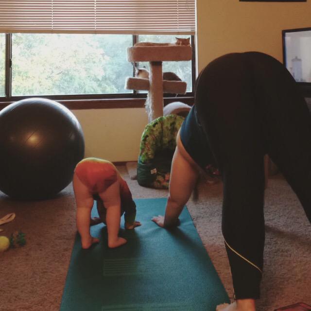 MegVaily's tweet photo. Practice our #downdog before bed time. http://t.co/HrQ7lu5zPW