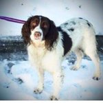 Photo by R.I.P. Bramble (@getbramblehome)
