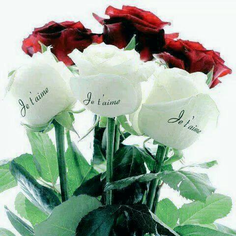 wildaolvier's tweet photo. http://t.co/ckGHaqfO6T