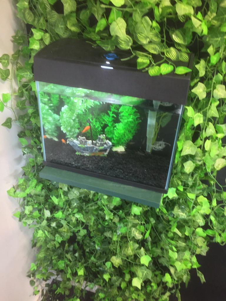 Mycom_Service's tweet image. Customers love our fish tank....