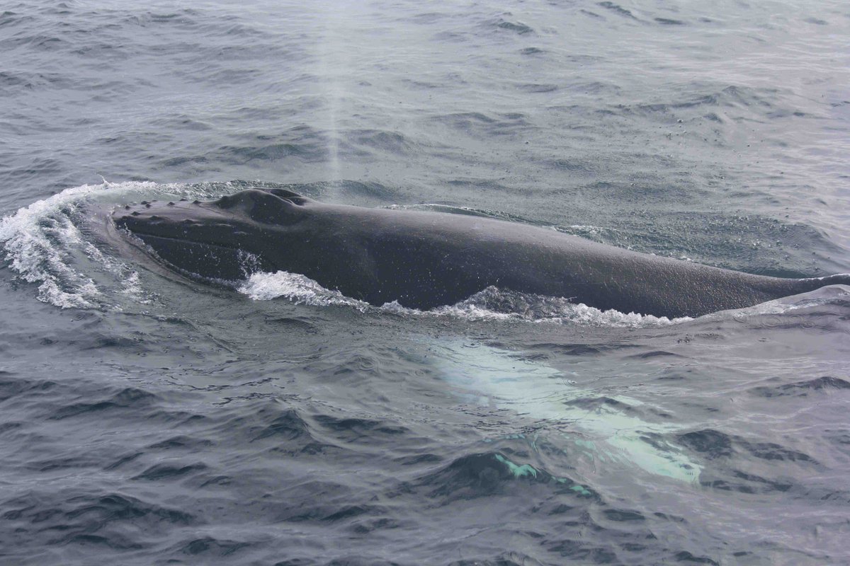 Tom Stringell tweet media