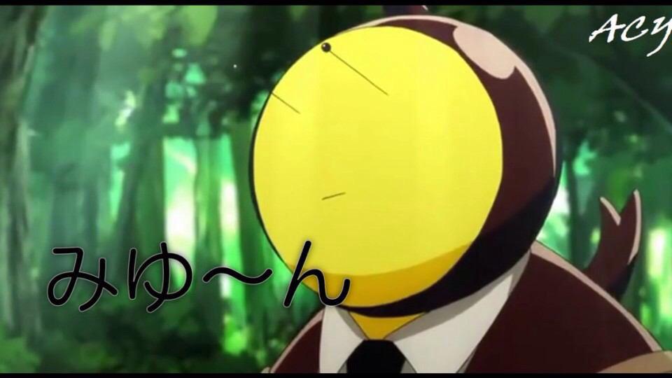 гастро сенсей. гастрофест фокус 2022. карасума сенсей и ирина. коро сенсей. амитокс гастро.