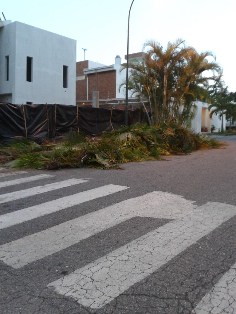 Sandra Bubregh tweet media