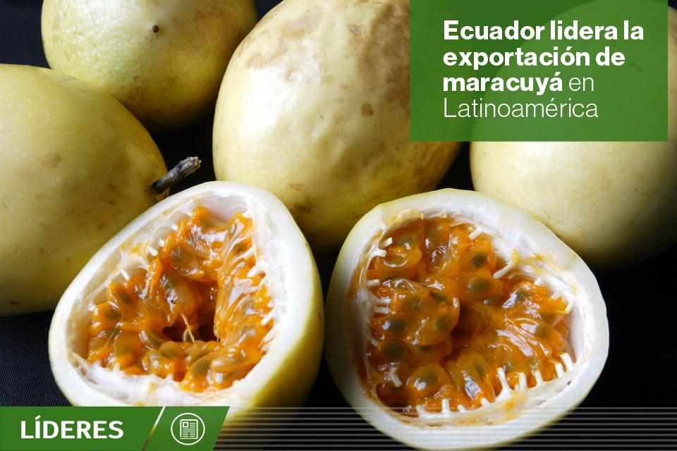 Revista LÍDERES tweet media