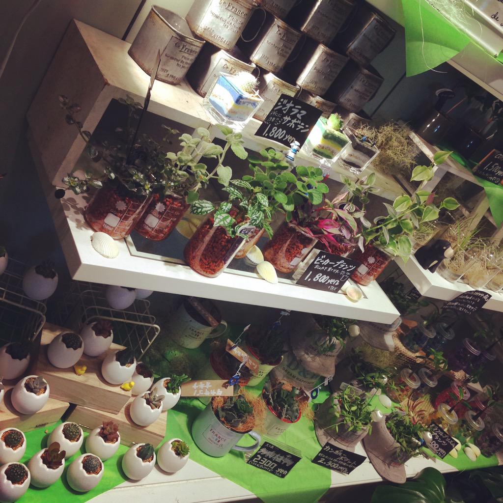 Flower Deco東京ソラマチ店 Fd Skytree Twitter