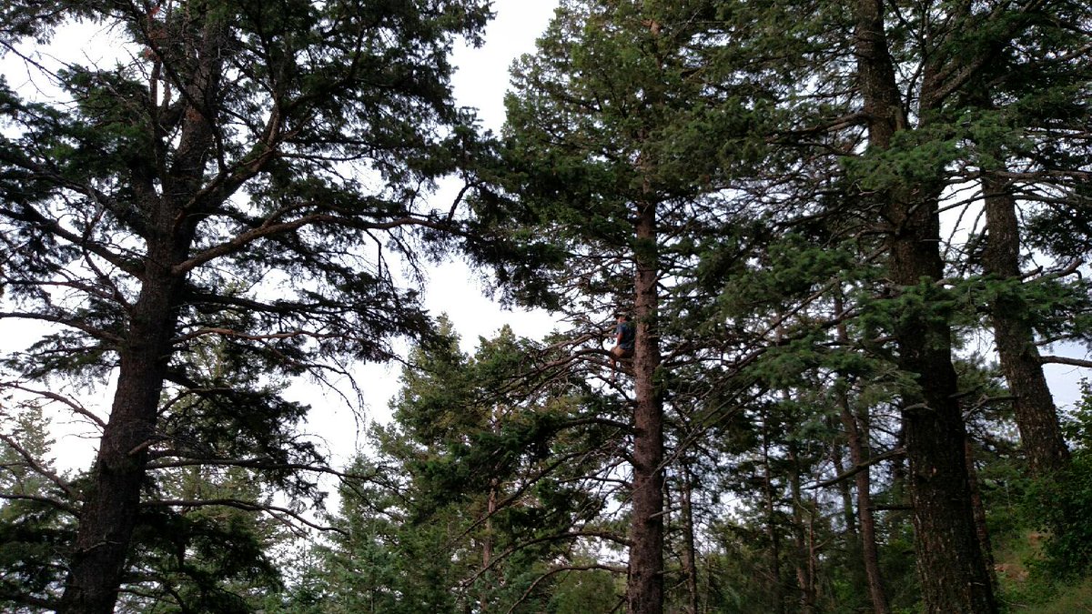 SWDenverYL's tweet image. Our #UrbanTheology exploration sometimes is best explored when juxtaposed to traditional Western Evangelical theolog…