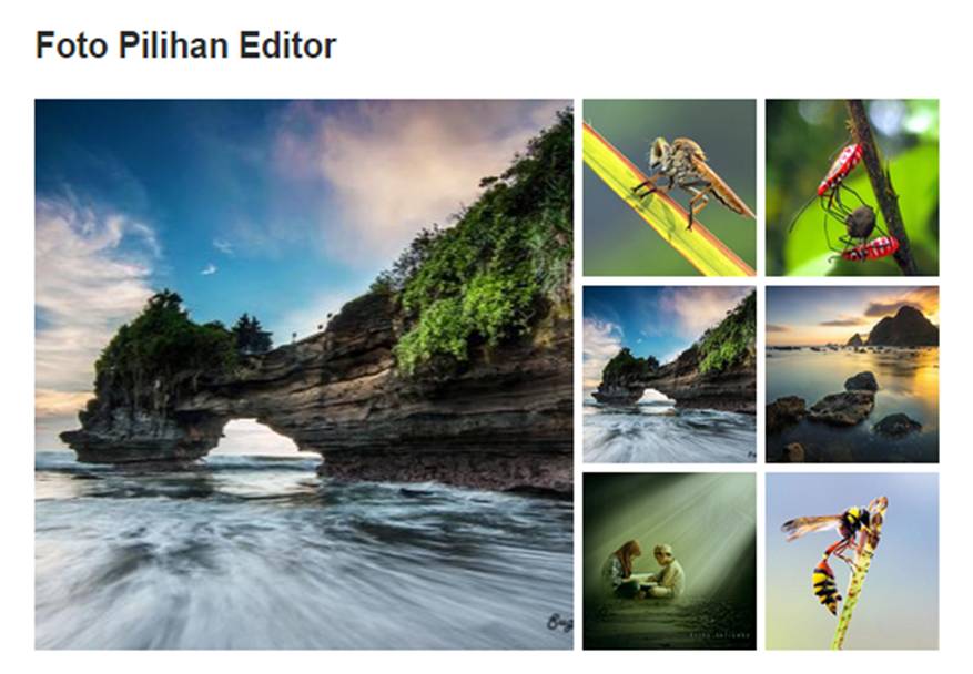 Foto Pilihan Editor hari ini
#FN12

fotografer.net/galeri/fpe.php