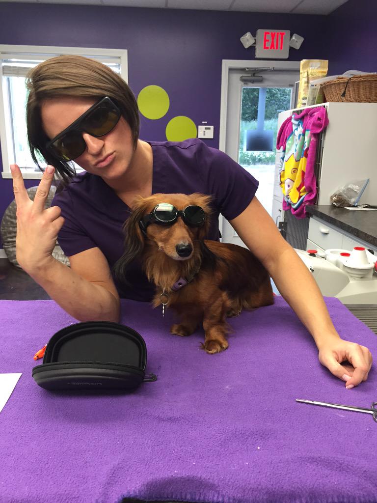 GreystoneVetDVM's tweet photo. Has your pet rocked out with the therapy laser shades?!? Well call today! 216-525-1077 #lasertherapy #clevelandpets http://t.co/oRbzXynTDj