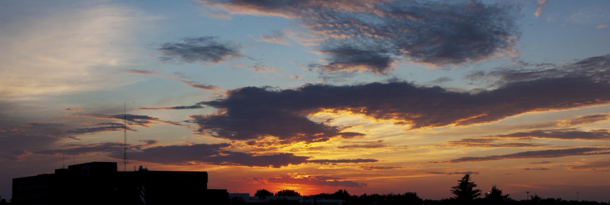 Carl Jones tweet media