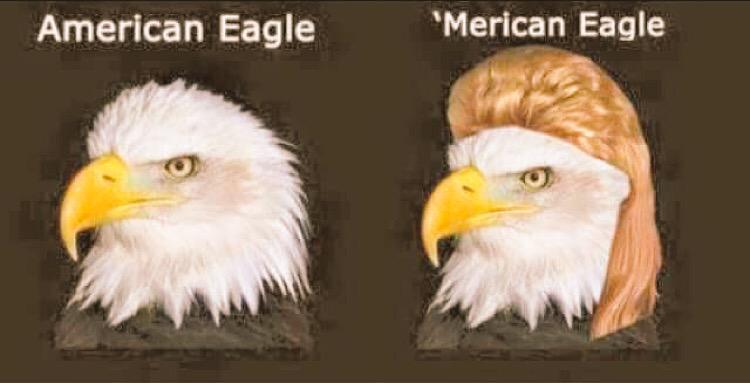 EarlDibblesJr's tweet photo. Merican Eagle http://t.co/UOp6SHFfmE