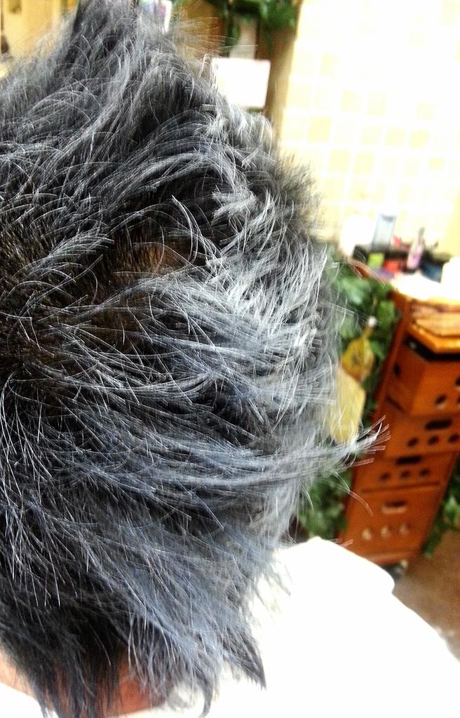 倭髪てんちょ 話題のシルバーアッシュ シルバーワックス 入荷 髪に塗るだけでカッコイイ銀髪ヘアに 倭髪で絶賛販売中 ワックス購入だけでもお気軽にご来店ください Tel 046 248 1840厚木飯山愛甲石田伊勢原愛川美容室床屋散髪白髪海老名平塚 Http T