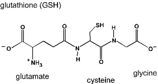 glutathion