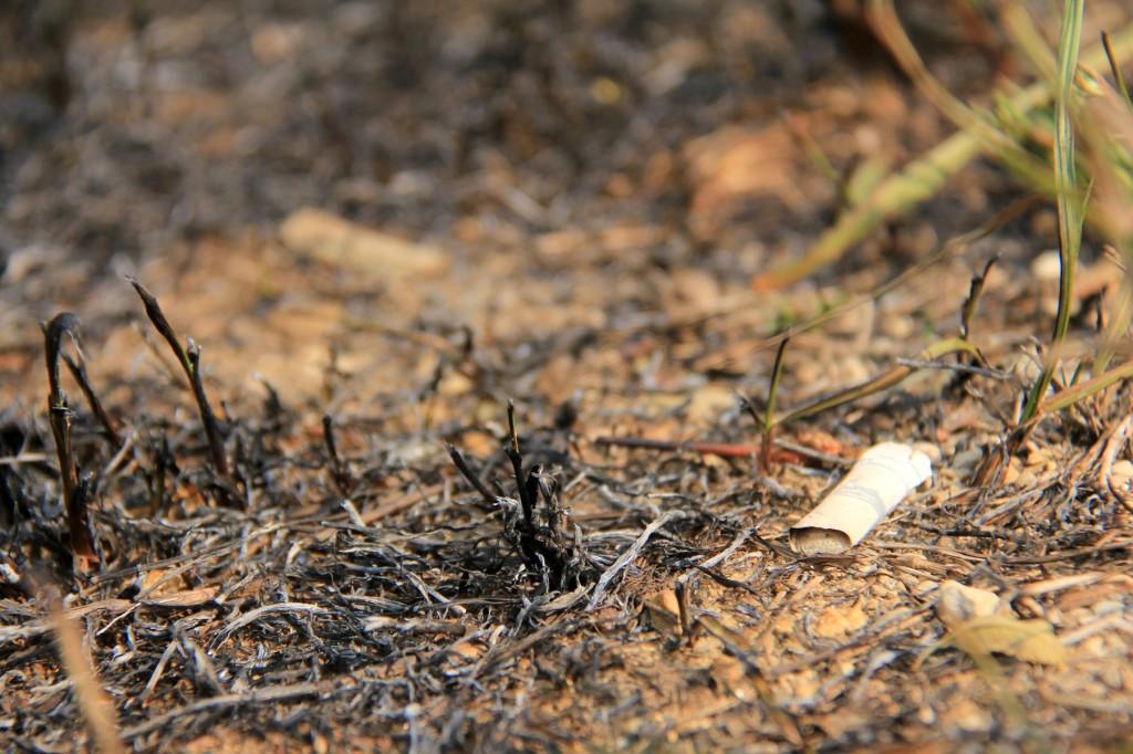 A brush fire was started by someone carelessly tossing their cigarette from vehicle on Glenn Hwy near Chugiak today.