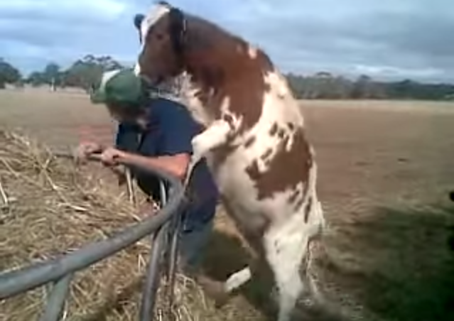 Buzz_Farm tweet picture