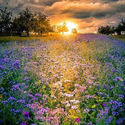 #لتعيش_لازم  تقول لا اله الا الله 
تكبير