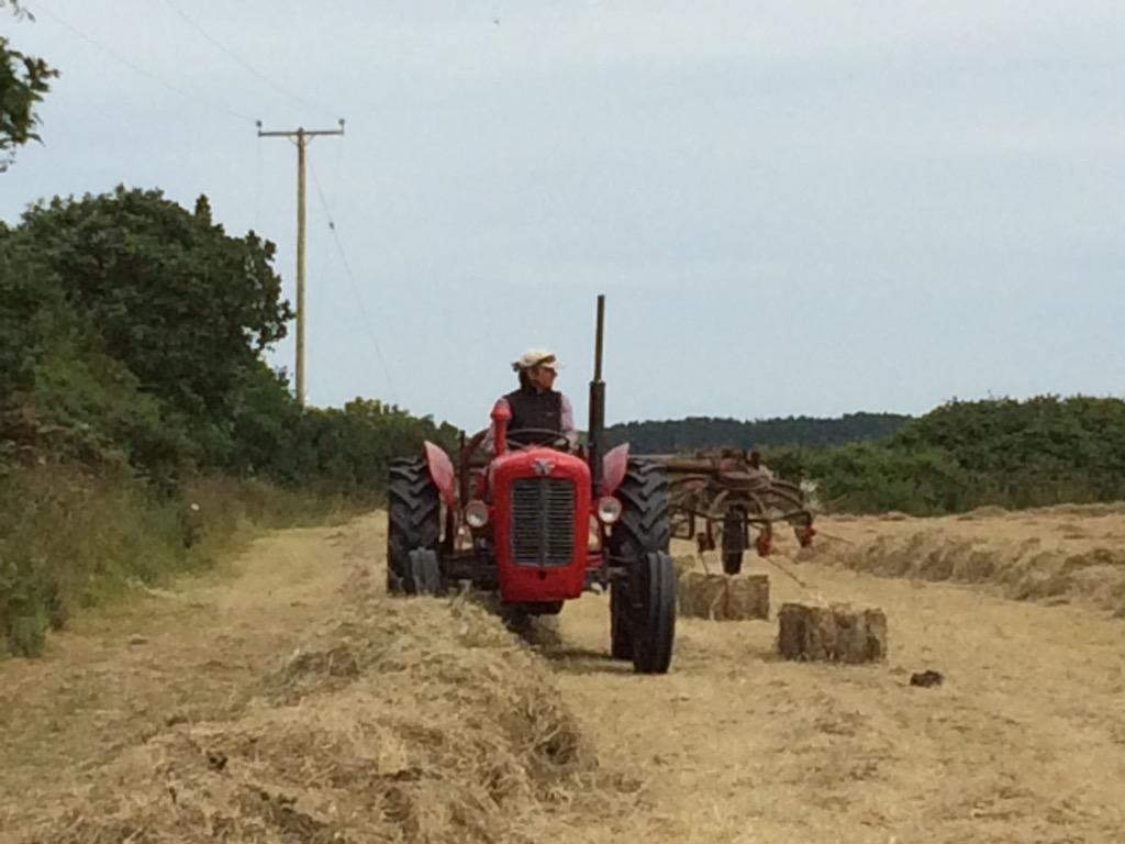 CurranWeston's tweet photo. Making hay http://t.co/DkRqAxtvv2