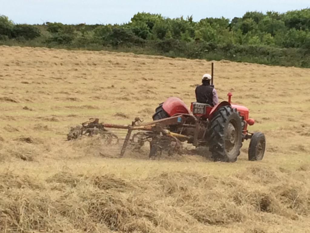 CurranWeston's tweet photo. Making hay http://t.co/DkRqAxtvv2