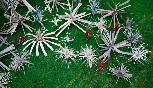 fishiding's tweet image. Its not just humans who like colors, Fishes also like colorful habitats. 
goo.gl/WZjpQ7