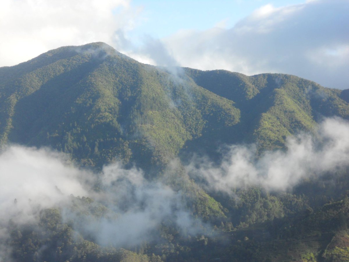 Just inscribed as <a href="/UNESCO/">UNESCO 🏛️ #Education #Sciences #Culture 🇺🇳</a> #WorldHeritage Site: Blue &amp; John Crow Mountains #Jamaica Watch Live whc.unesco.org/en/sessions/39…