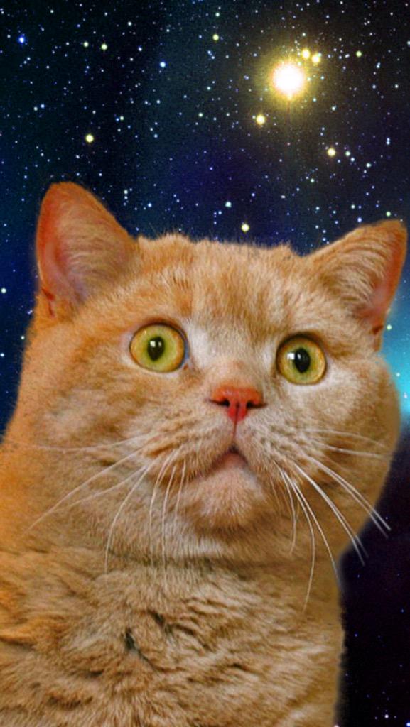 TheInsideIsLive's tweet photo. *listens to TGBN* http://t.co/VmhCVIRvdy