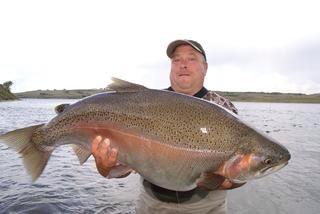 thefishinglife's tweet image. #triploid