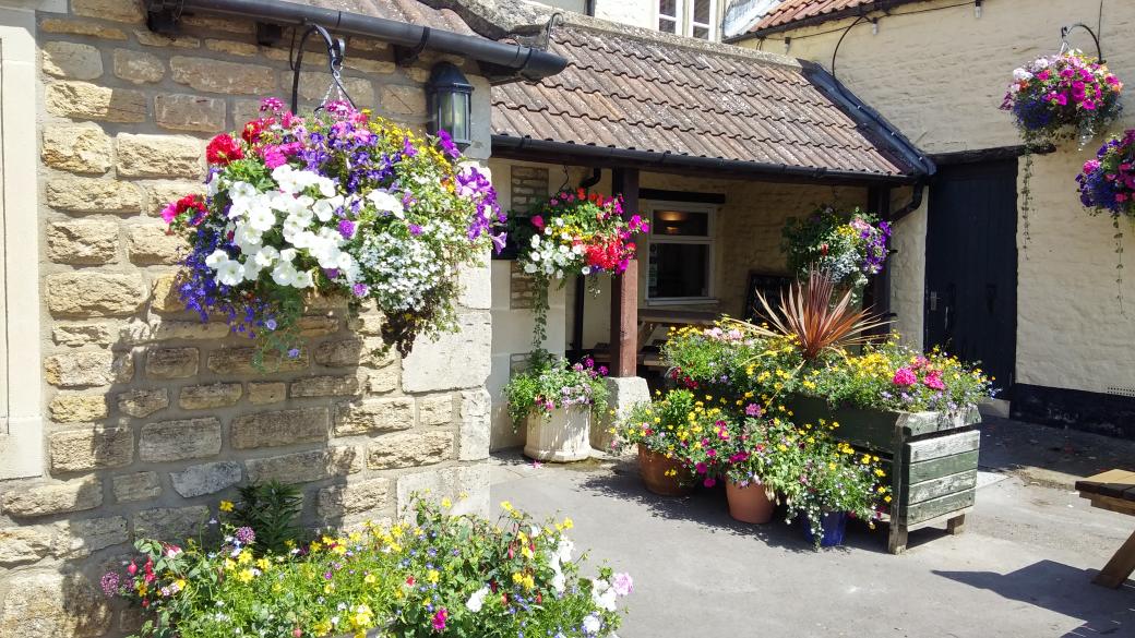 GF_Shaw's tweet photo. Just found out we have won our category in Melksham in Bloom! We love our summer baskets this year #melkshaminbloom http://t.co/3nvgRfq9pL