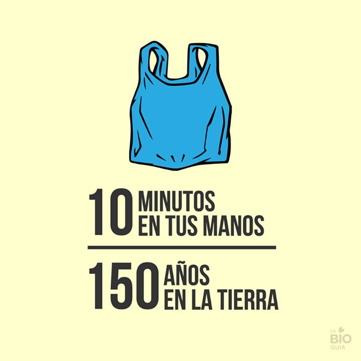 Bioguia tweet media