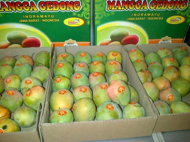 Toko_Daud's tweet photo. http://t.co/lDyAkfw8Ar