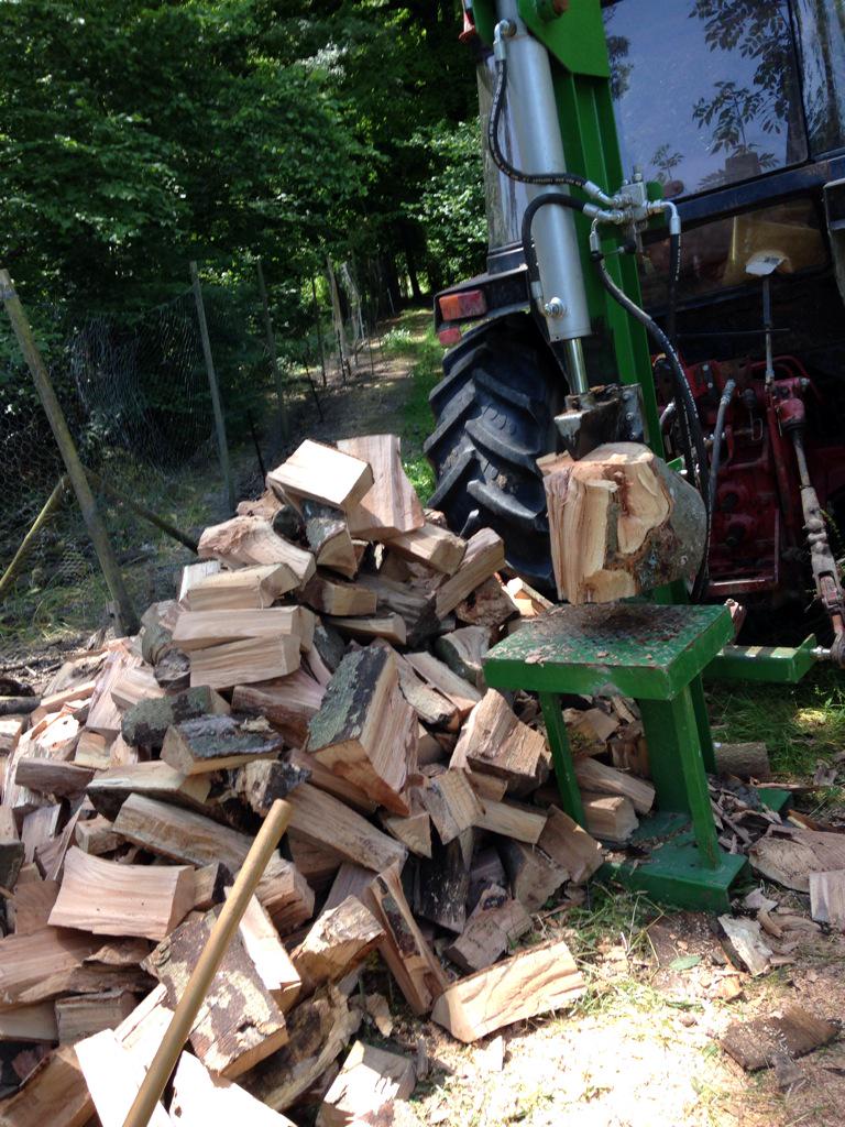 SD_Venison's tweet photo. Getting ready for Winter on one of the hottest days of the year!!! This is another Wild harvest. @WildHarvestUK http://t.co/RlPTGcSeHs
