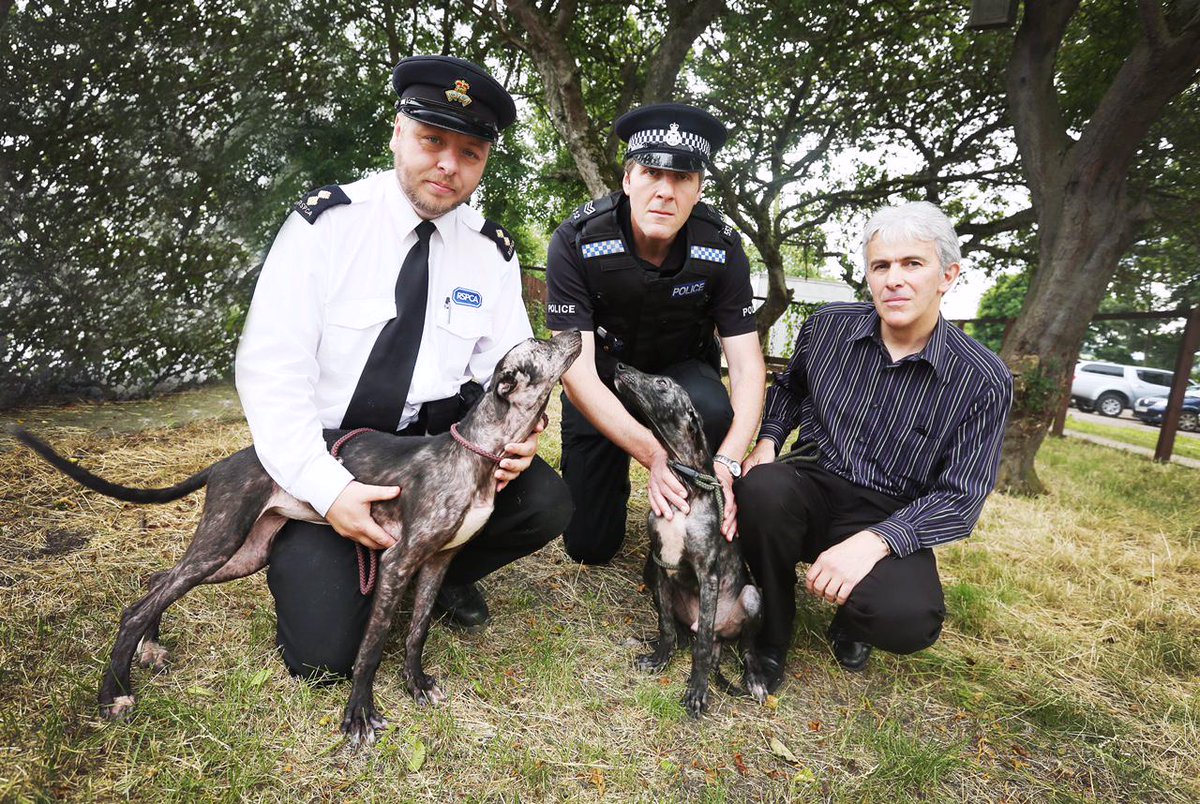 Durham Constabulary tweet media